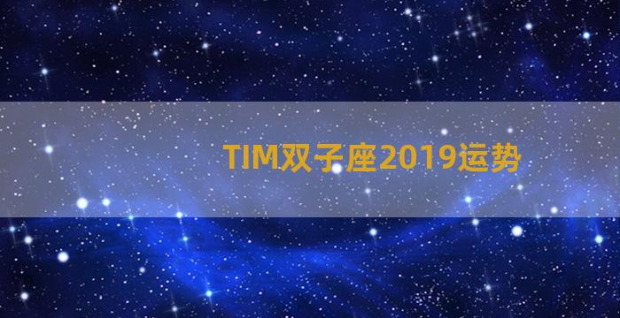 TIM双子座2019运势
